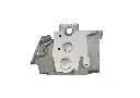 1kz bare_4.webp