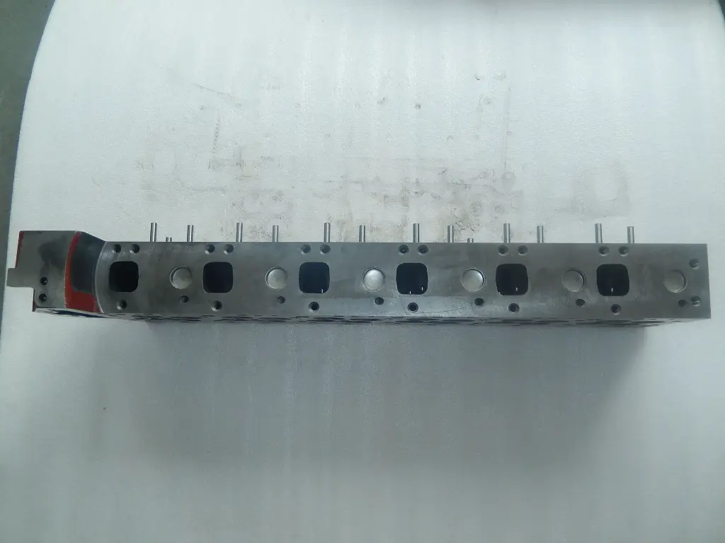 DSCN2395.webp
