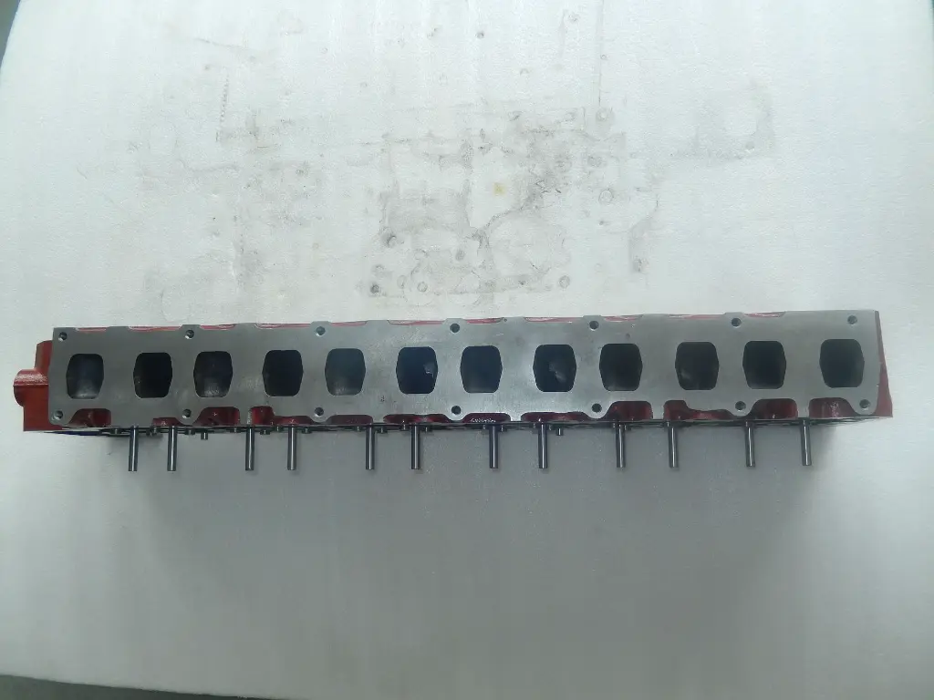 DSCN2399.webp