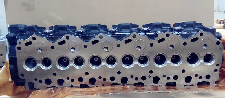 1HZ bare head