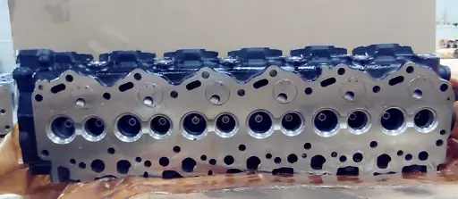 [191529] 1HZ bare head